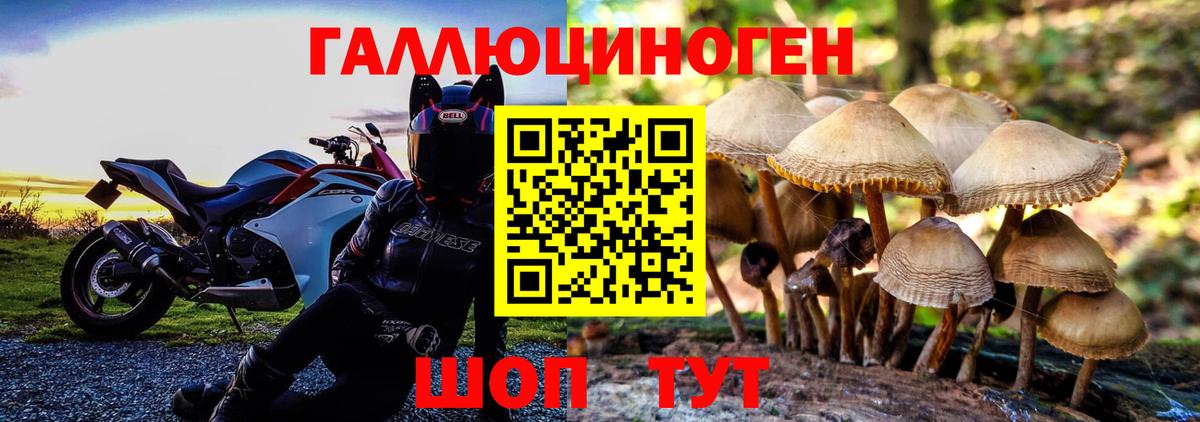 Псилоцибиновые грибы MAGIC MUSHROOMS Нальчик