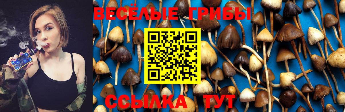 Галлюциногенные грибы ЛСД  Вход с VPN  Псилоцибиновые грибы MAGIC MUSHROOMS  Нальчик 
